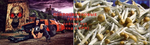 таблы Зеленодольск