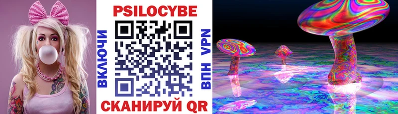 Псилоцибиновые грибы Psilocybe  Купить  Калининск 